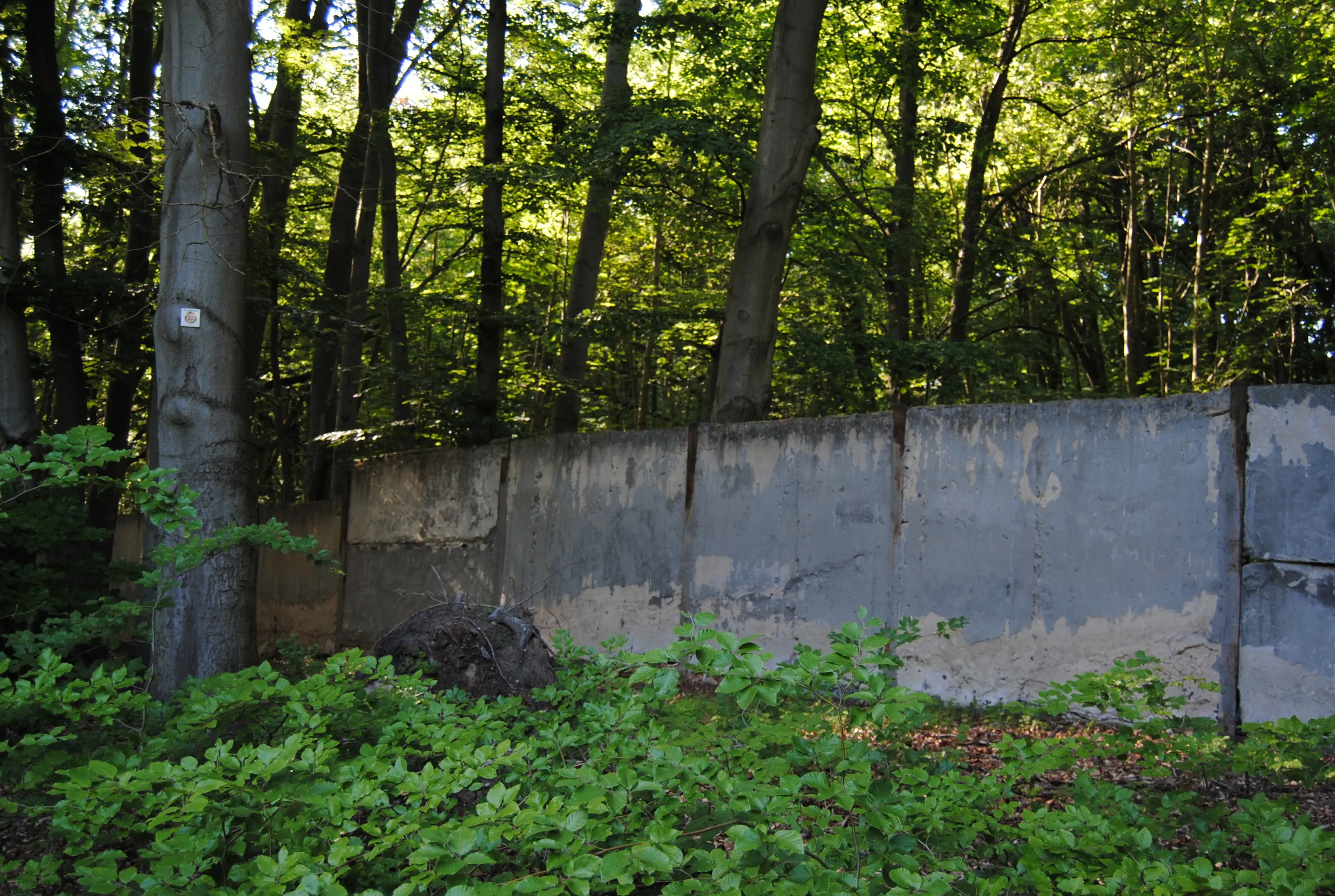 Betonmauer im Militärgebiet