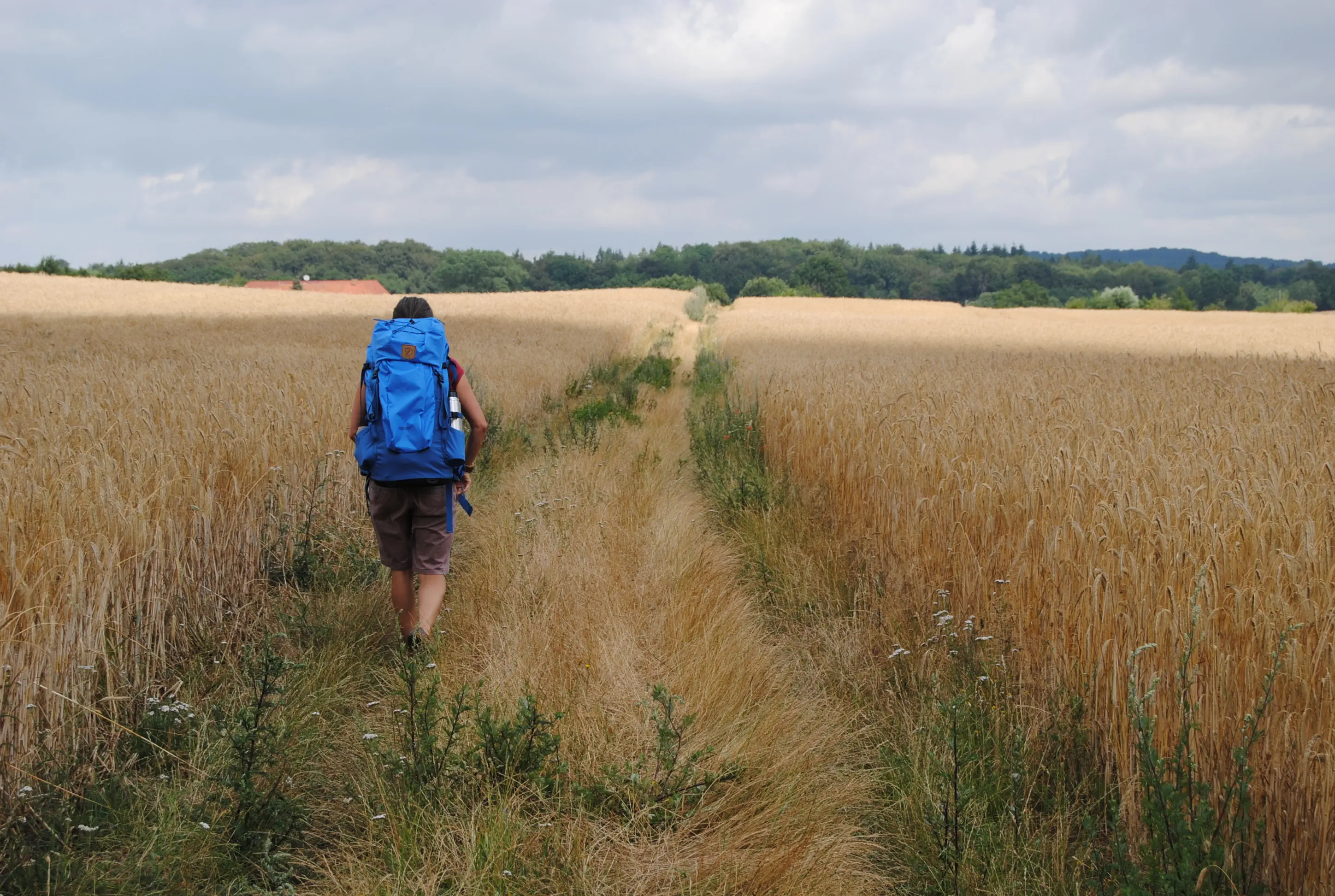 Feldweg Pilgern