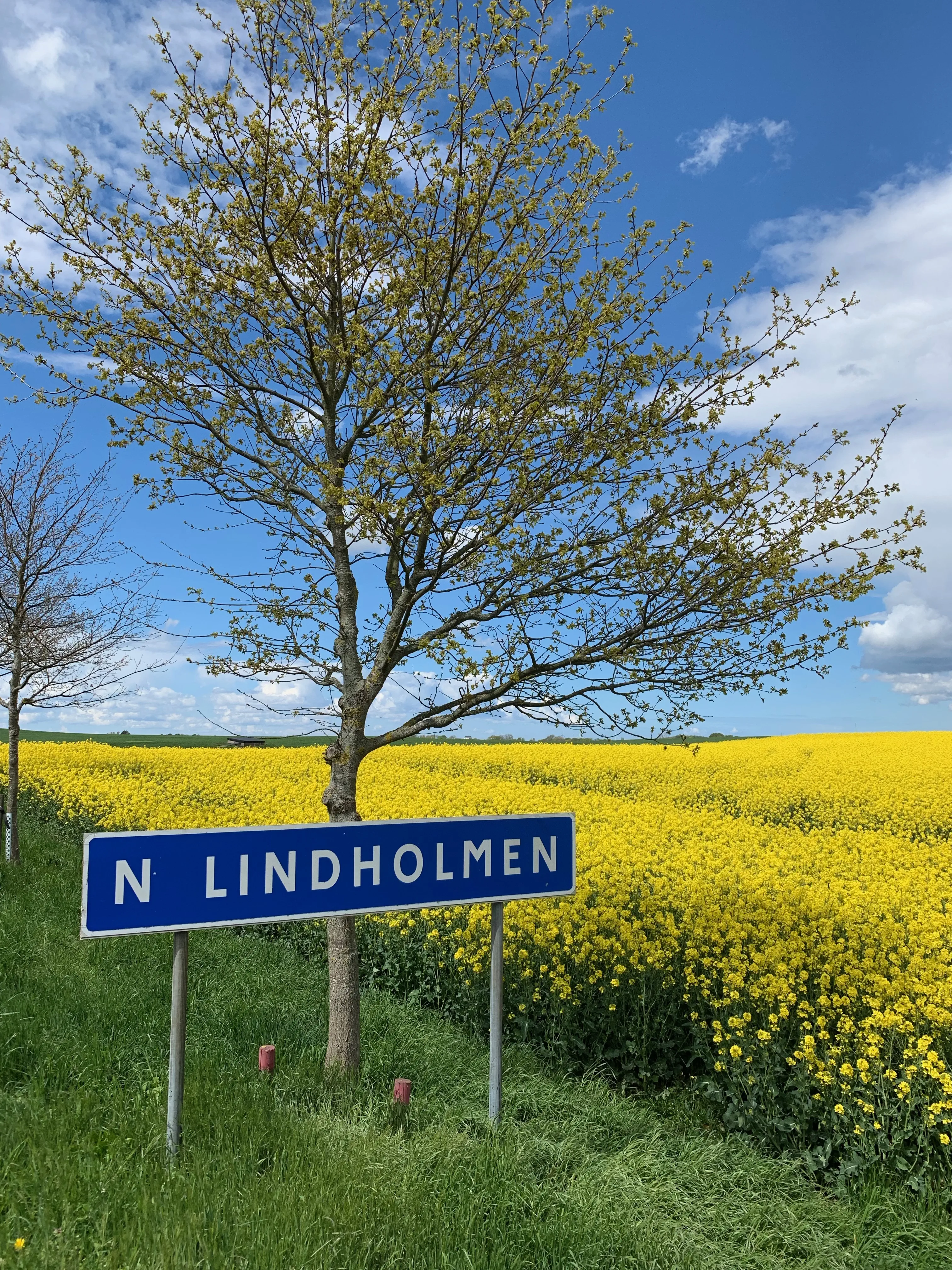 Lindholmen