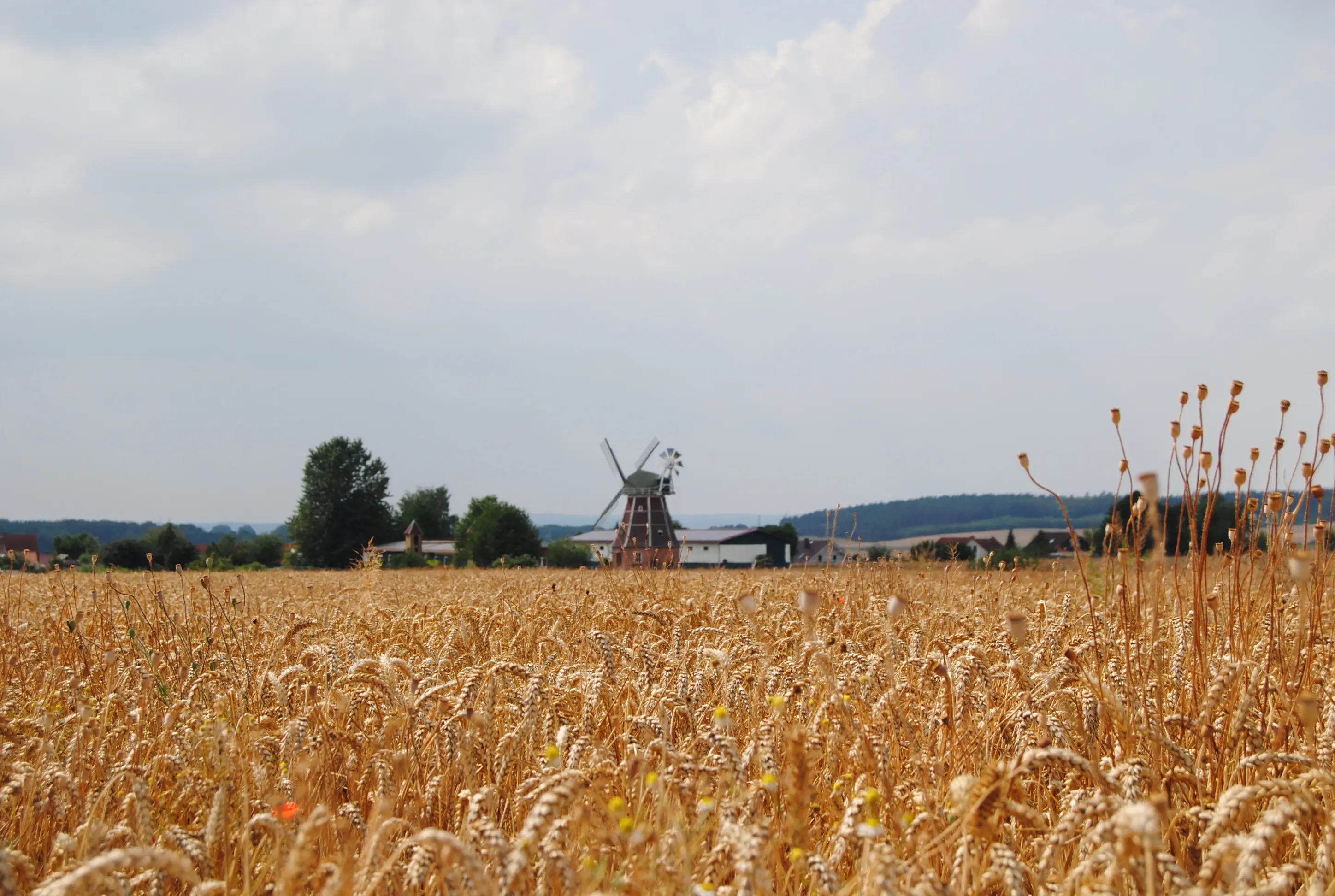 Windmühle Zepelin